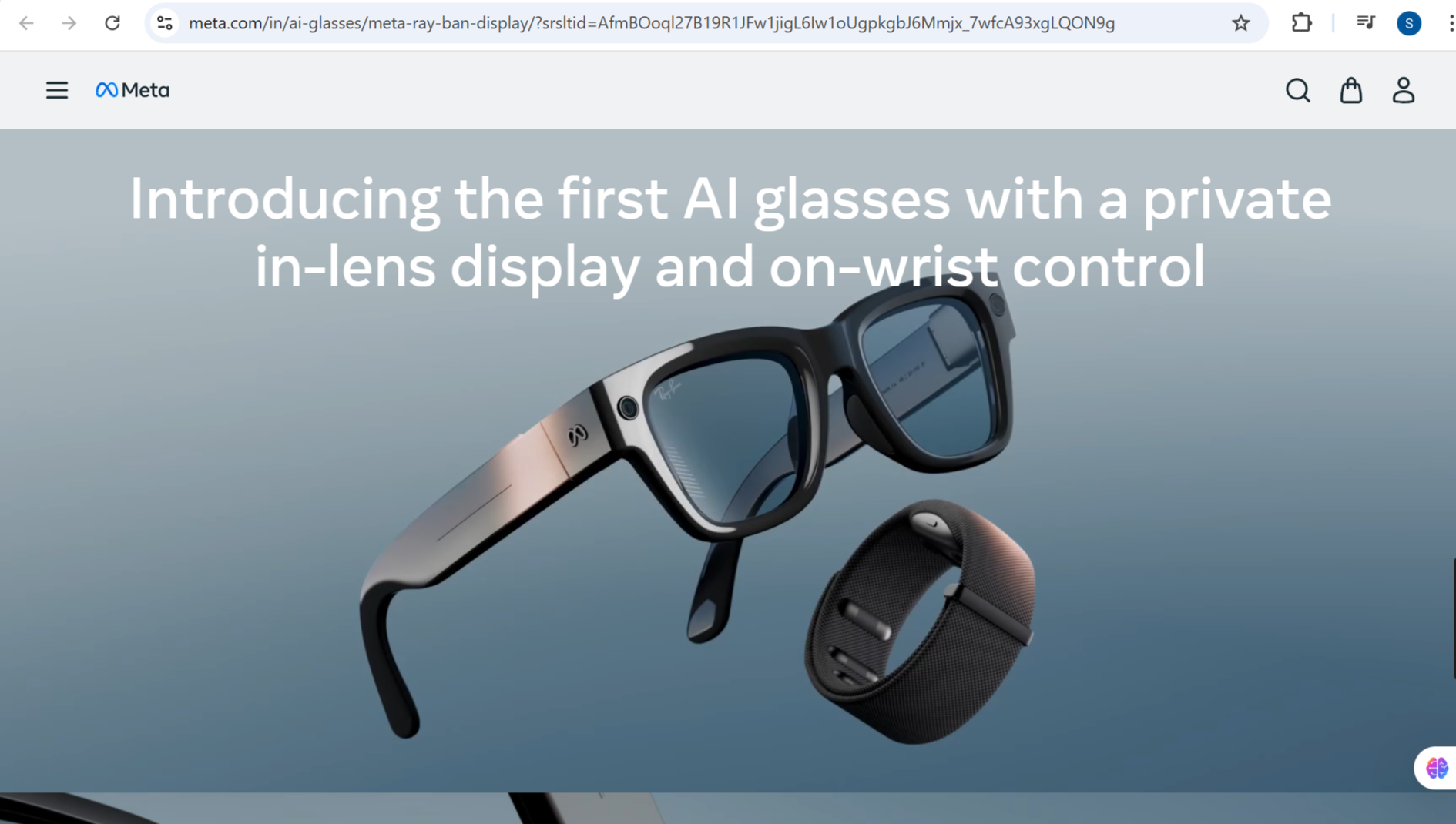 Meta Ray-Ban AI Glasses