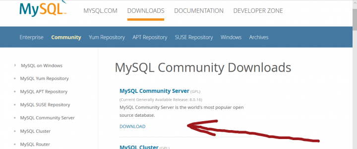 MySQL Community Edition Download on Windows