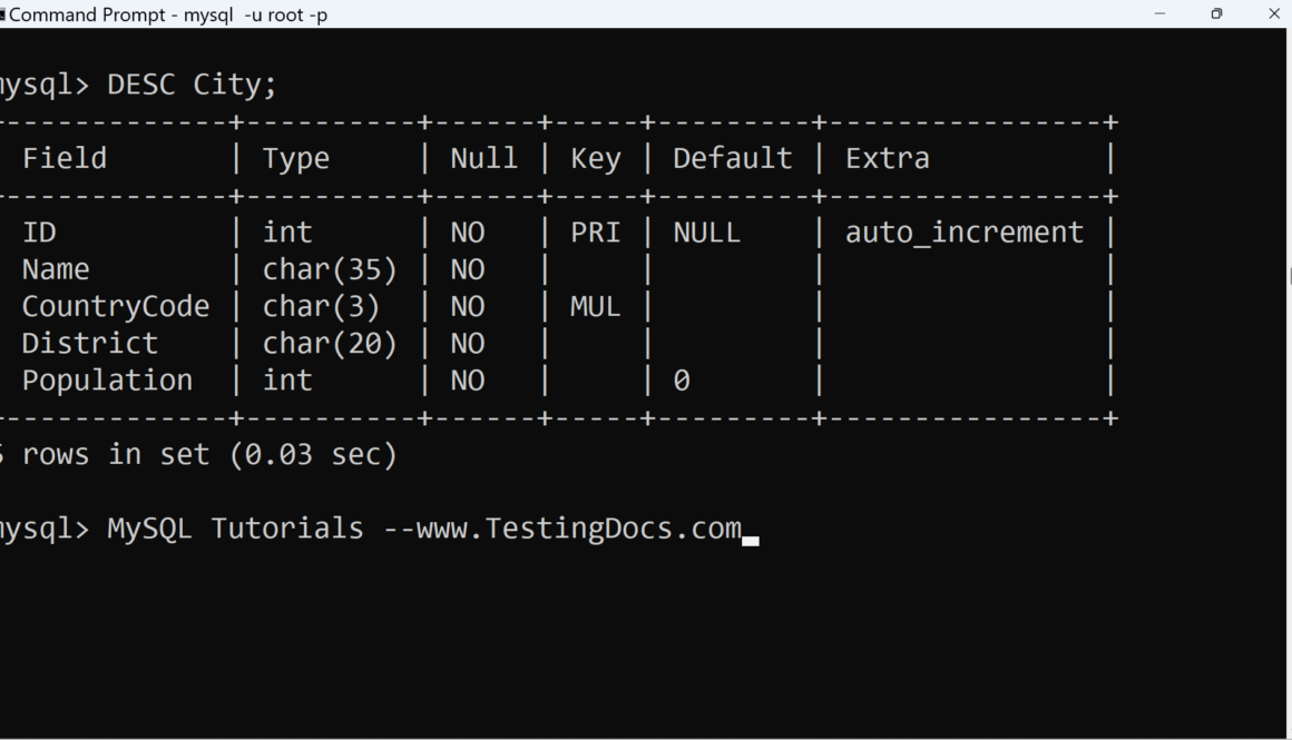 MySQL DESCRIBE City Table