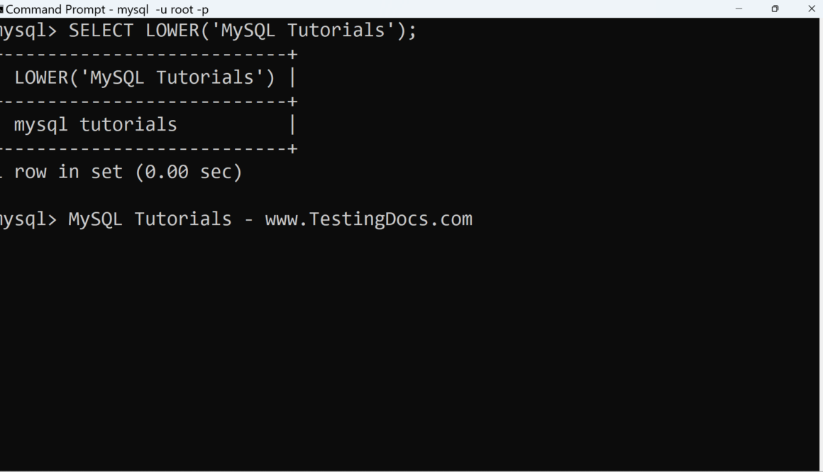 MySQL LOWER Function