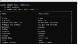 MySQL LOWER Function | TestingDocs
