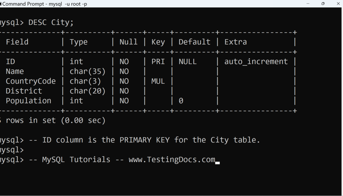 MySQL Primary Key Column