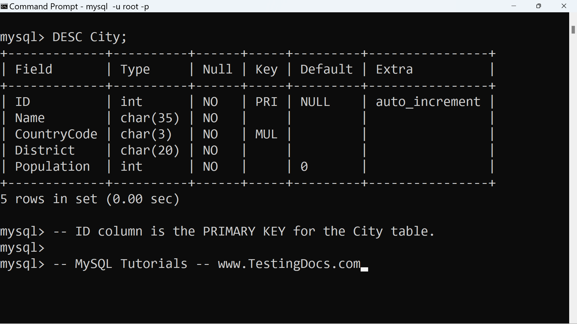 MySQL Primary Key Column