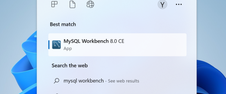 MySQL Workbench Search Win11
