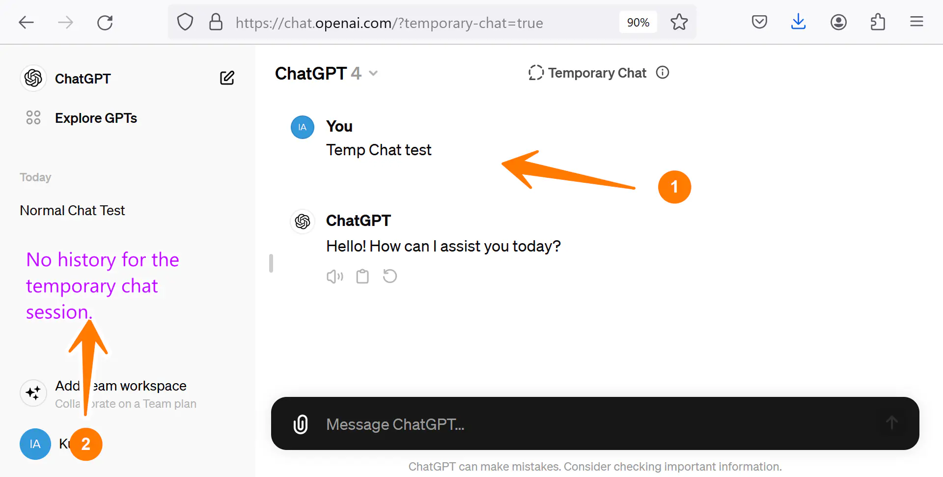 No Chat History ChatGPT