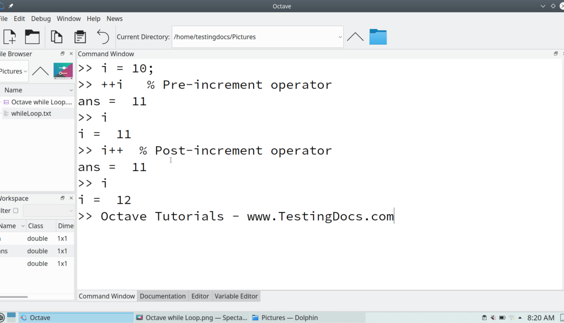 Octave Increment Operator