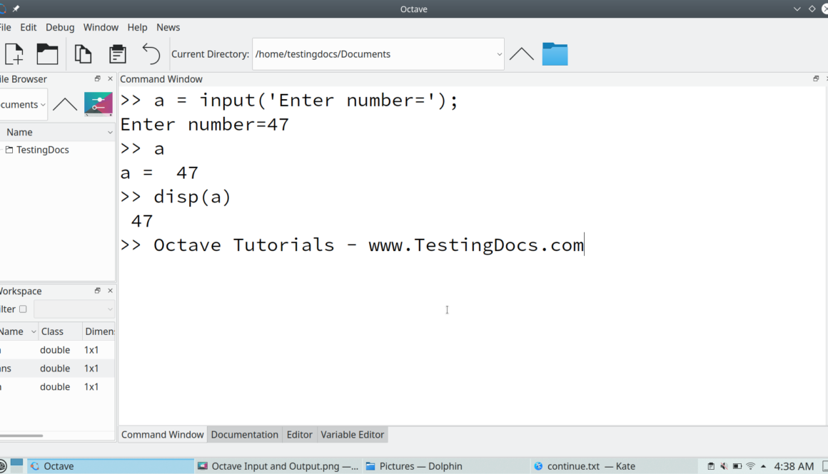 Octave Input Statement