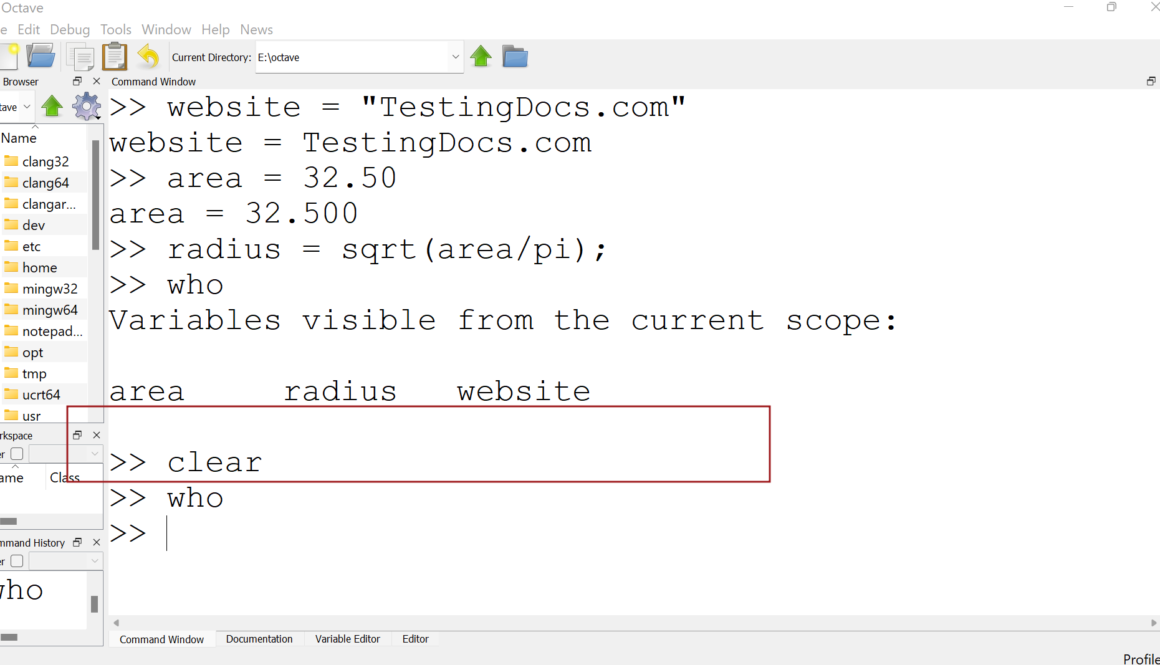 Octave clear all local variables