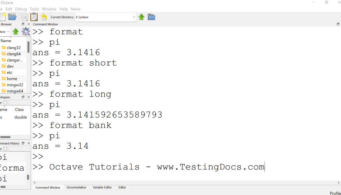 Octave format command
