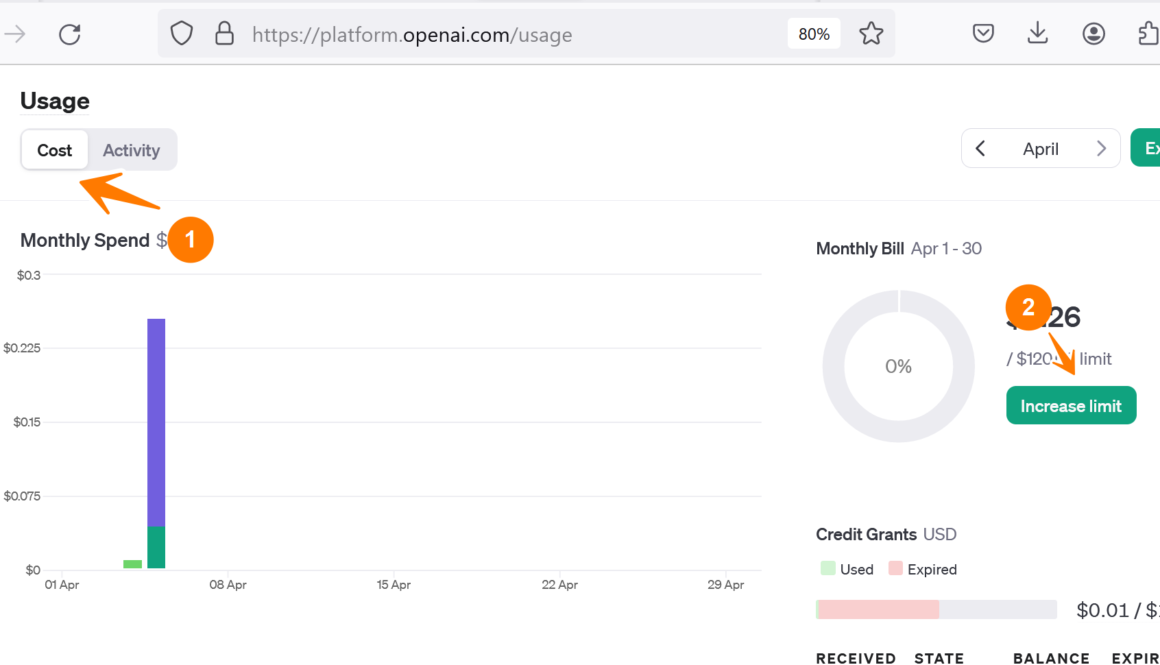 OpenAI API Usage Cost