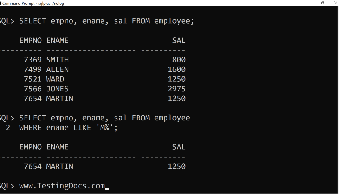 Oracle SQL LIKE Operator
