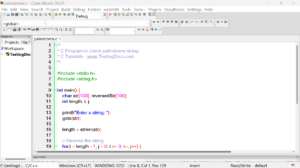 Palindrome String C Program Step-by-Step Guide [ 2024 ] | TestingDocs