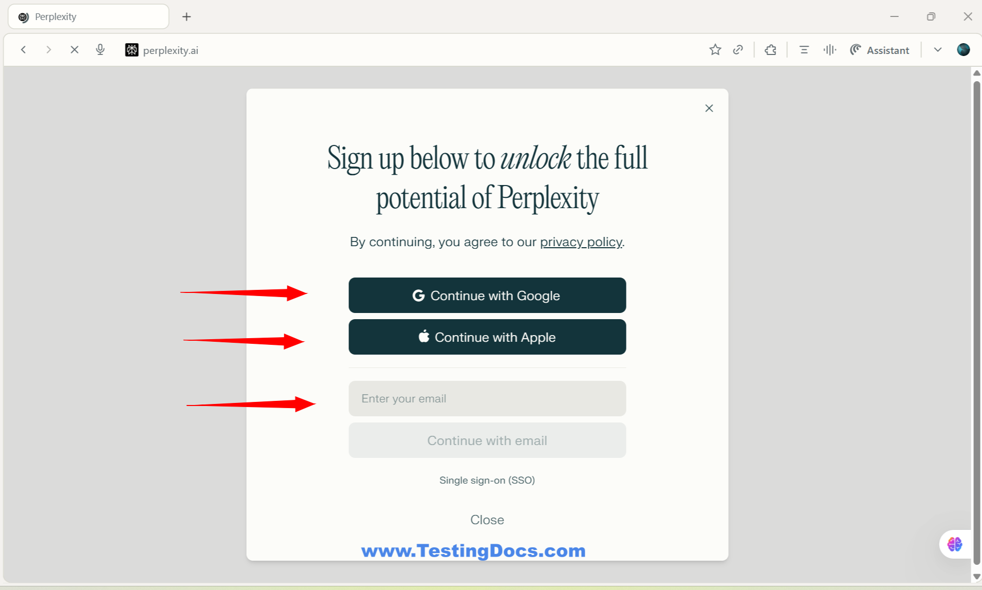 Perplexity Sign Up Options
