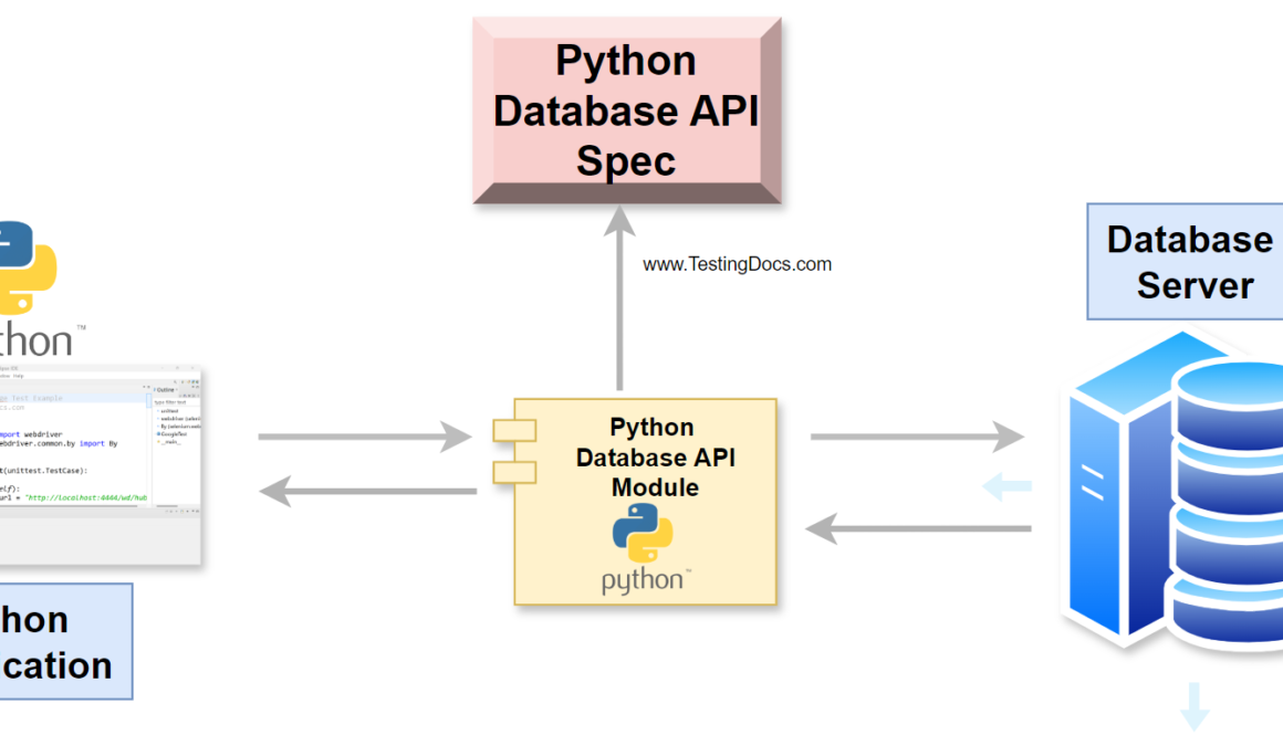 Python Database API
