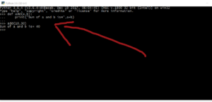 Writing a Function in Python Interactively | TestingDocs