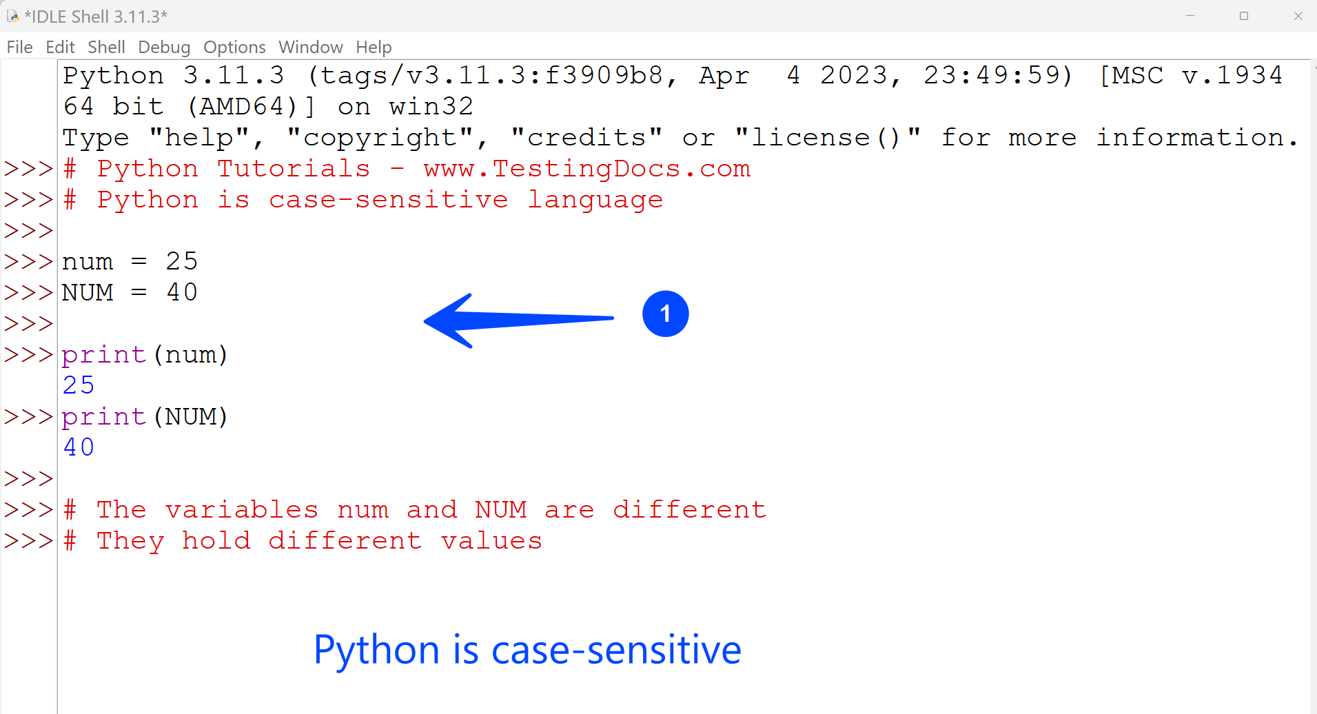 Python is case-sensitive