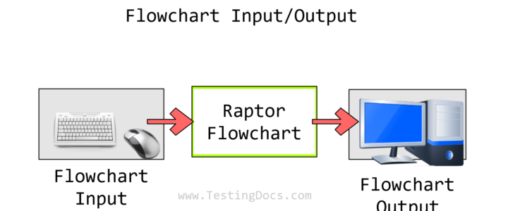 RAPTOR flowchart Input and Output