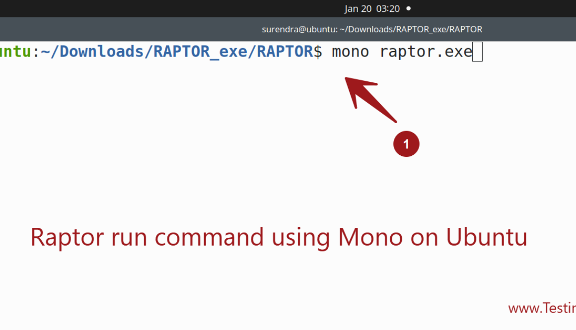 Run Raptor Flowchart on Ubuntu
