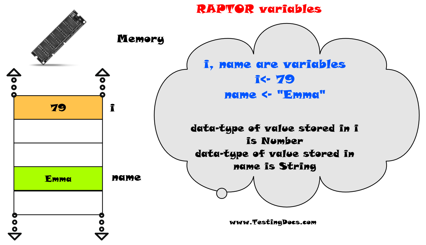 Raptor variables flowchart