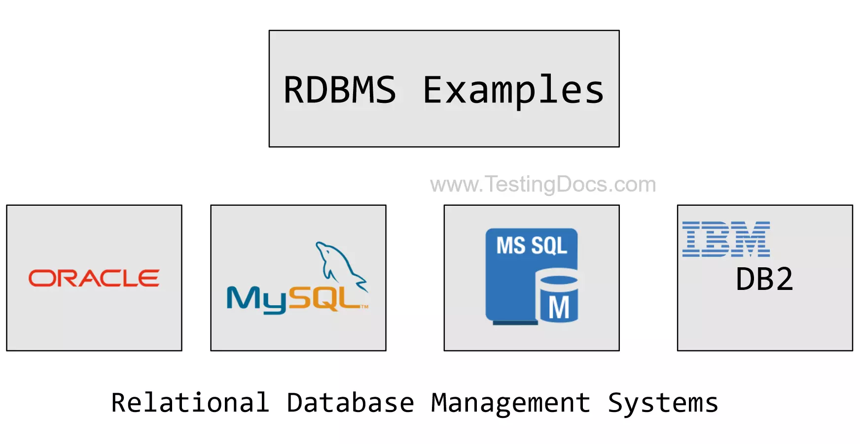 Relational Database Management System