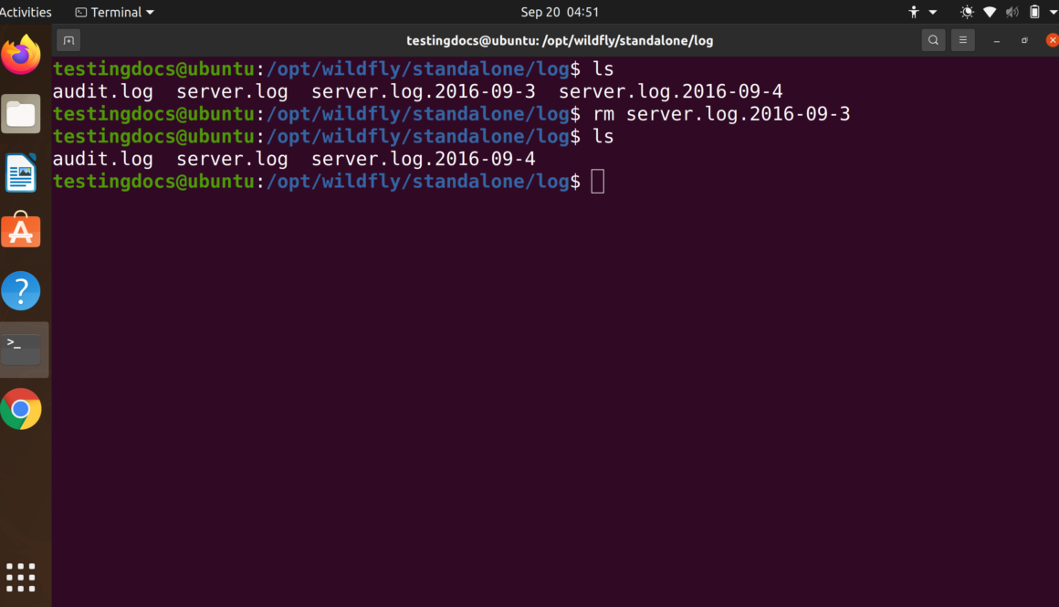 Remove file rm command