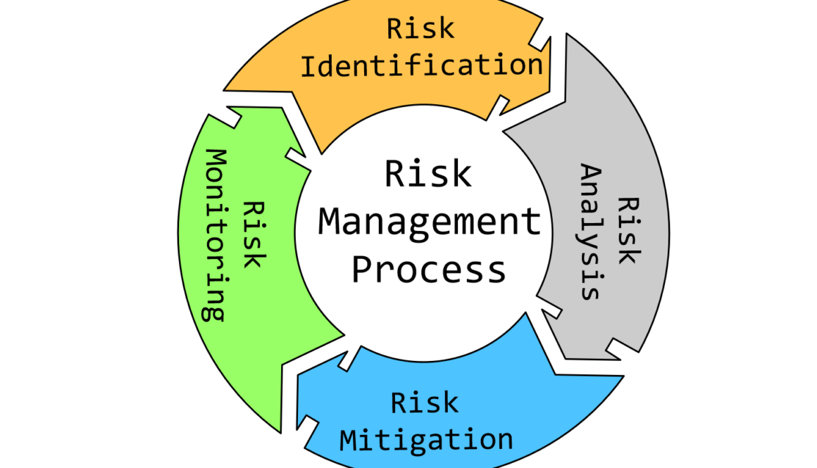 Risk Management Process
