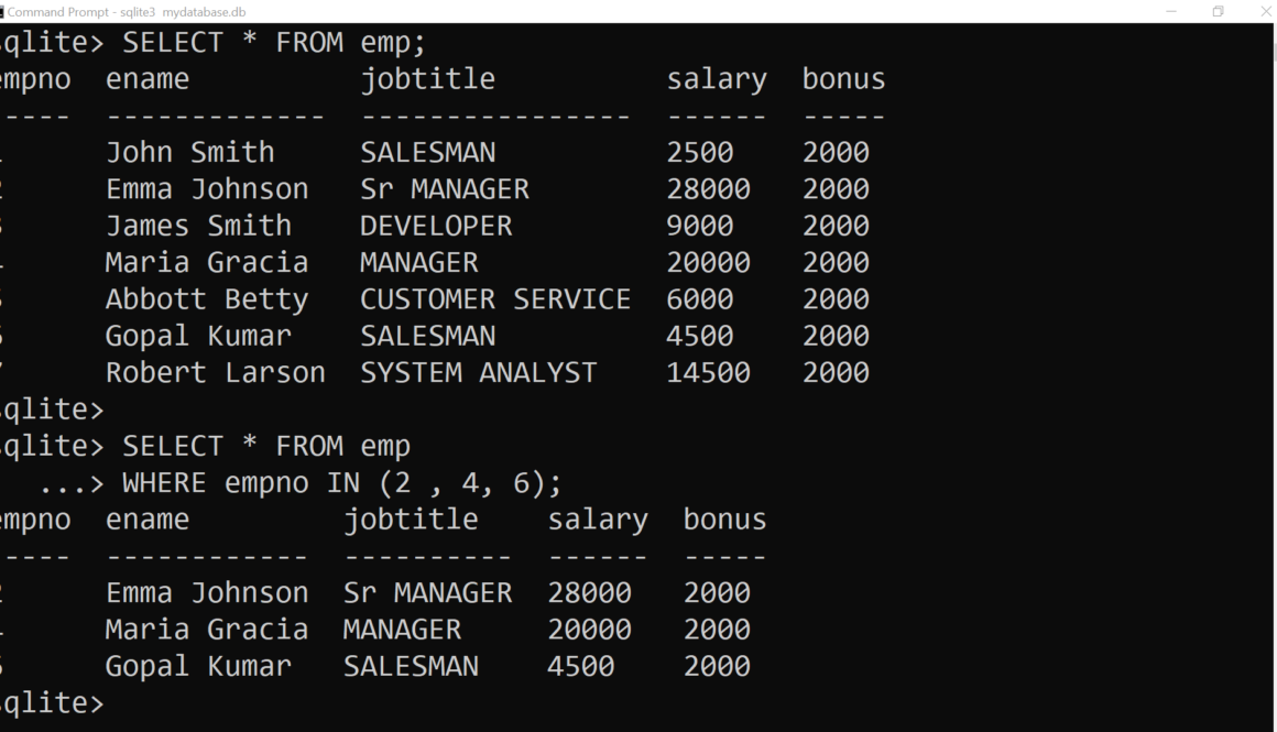 SQLite IN Clause