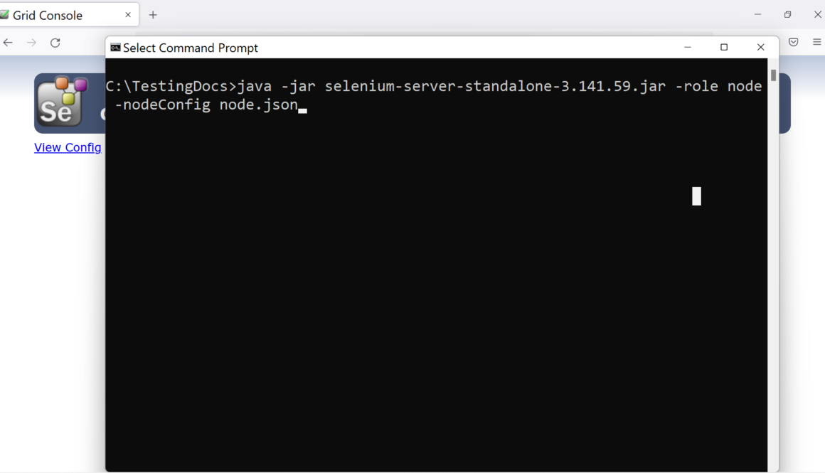 JSON Configuration File