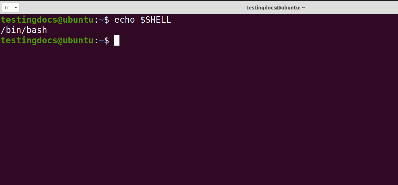 Shell Variable Echo Command