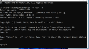 Start MySQL Client on Windows 11 - TestingDocs