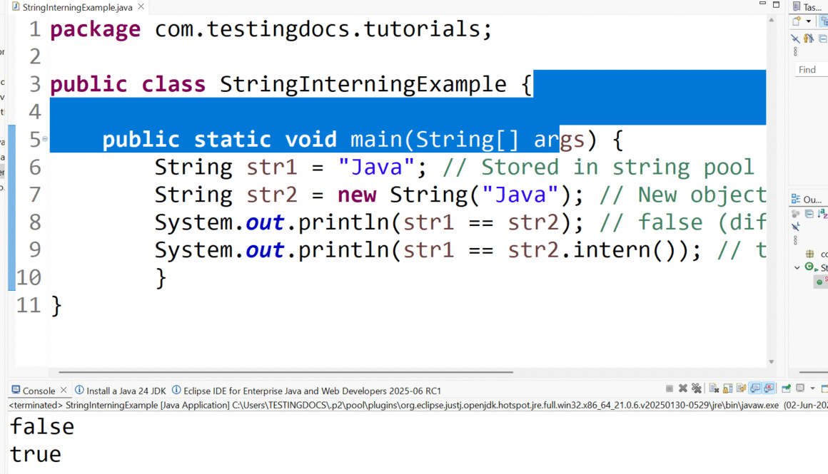 Sting Interning in Java Example