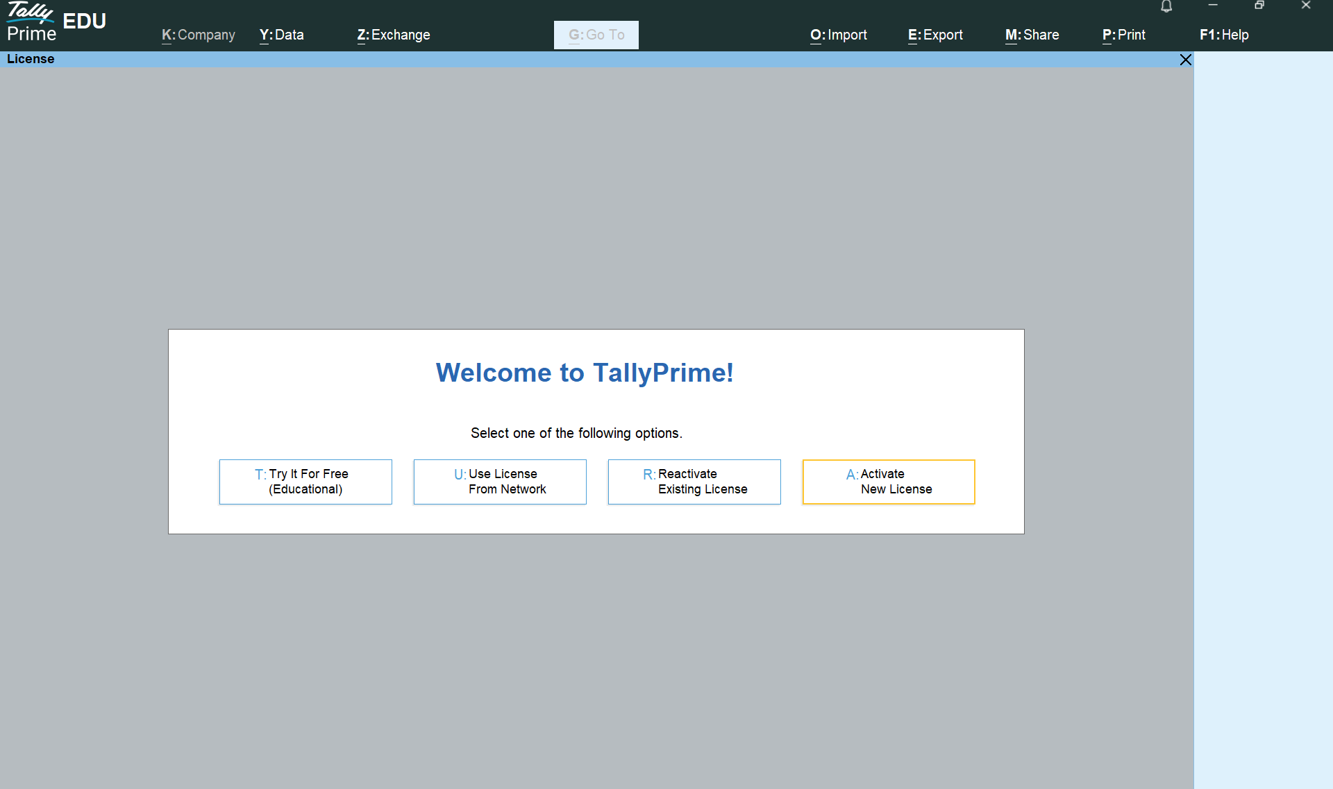 Tally Software Overview