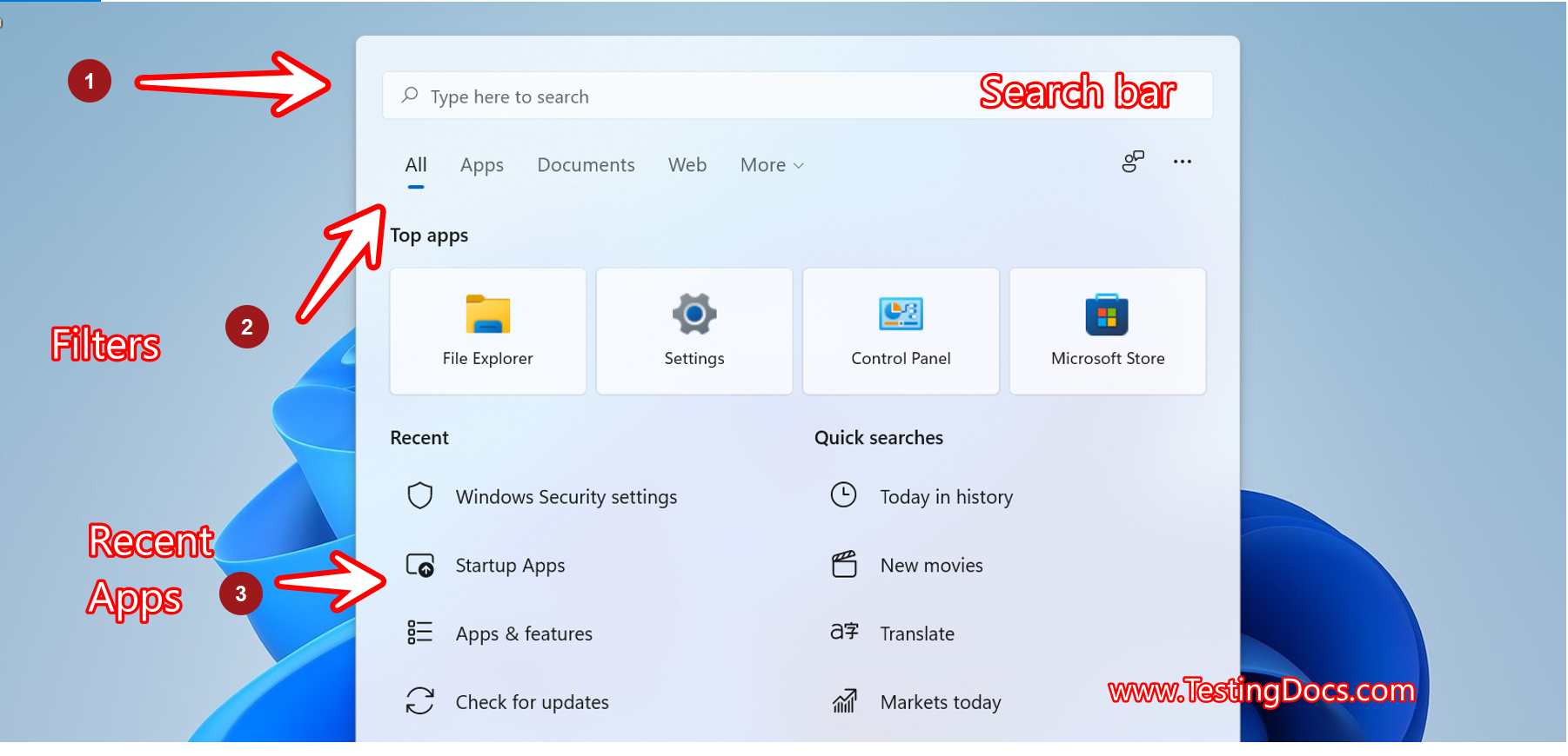 Windows 11 Search Window