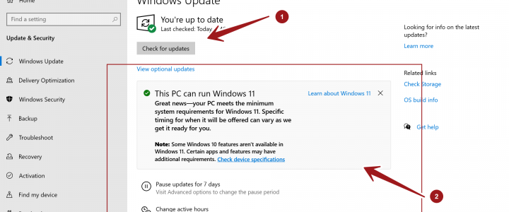 Windows 10 to 11 Update Experience