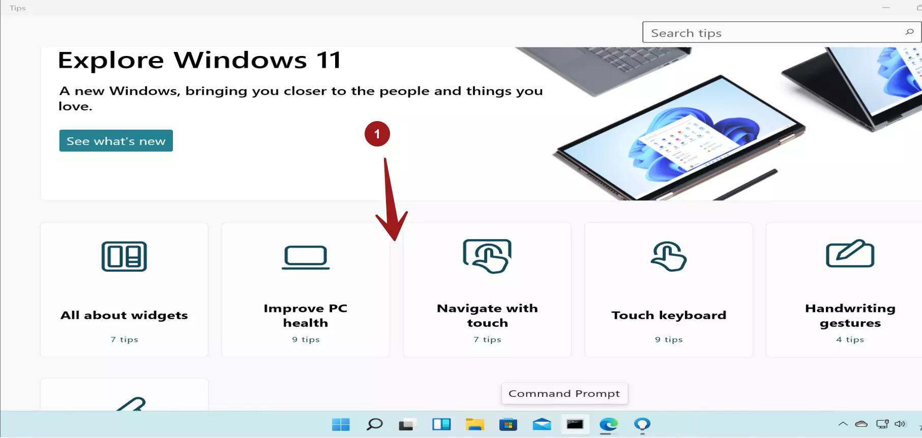 Windows 11 Tips App