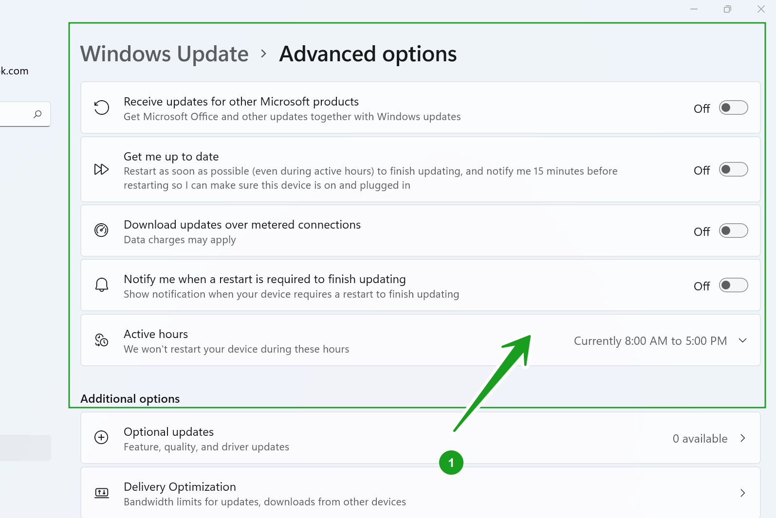 Windows 11 Updates Advanced Options