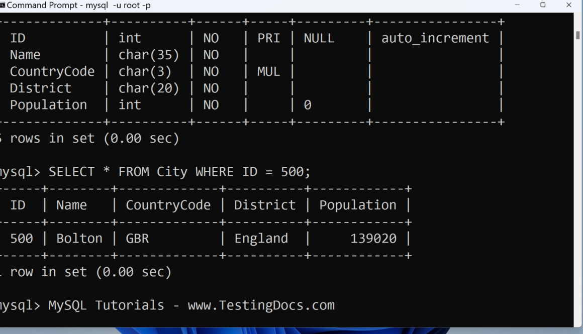 World DESC MySQL City Table