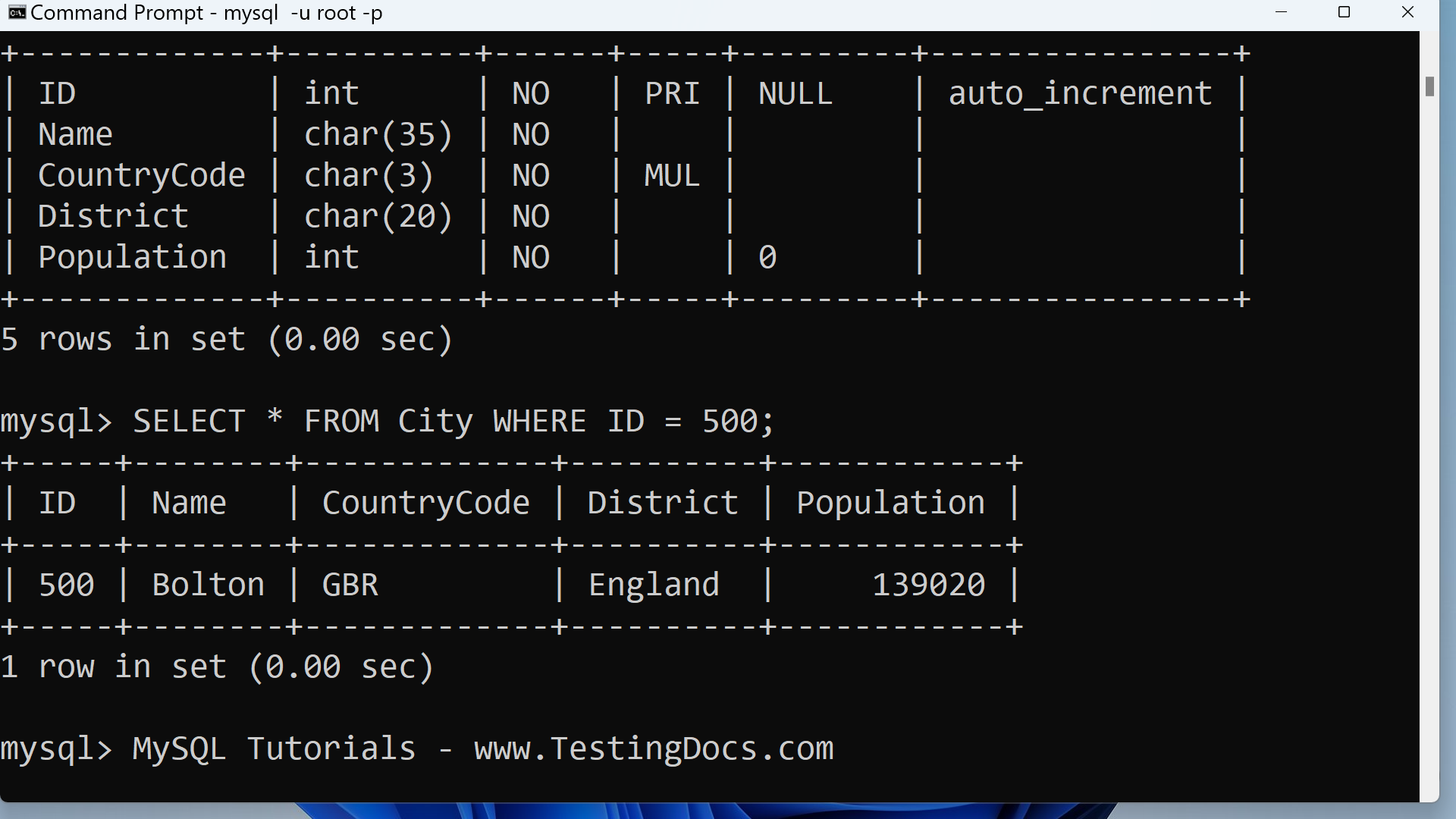 World DESC MySQL City Table
