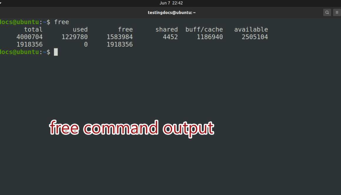 free command output