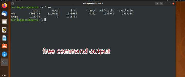 free command output