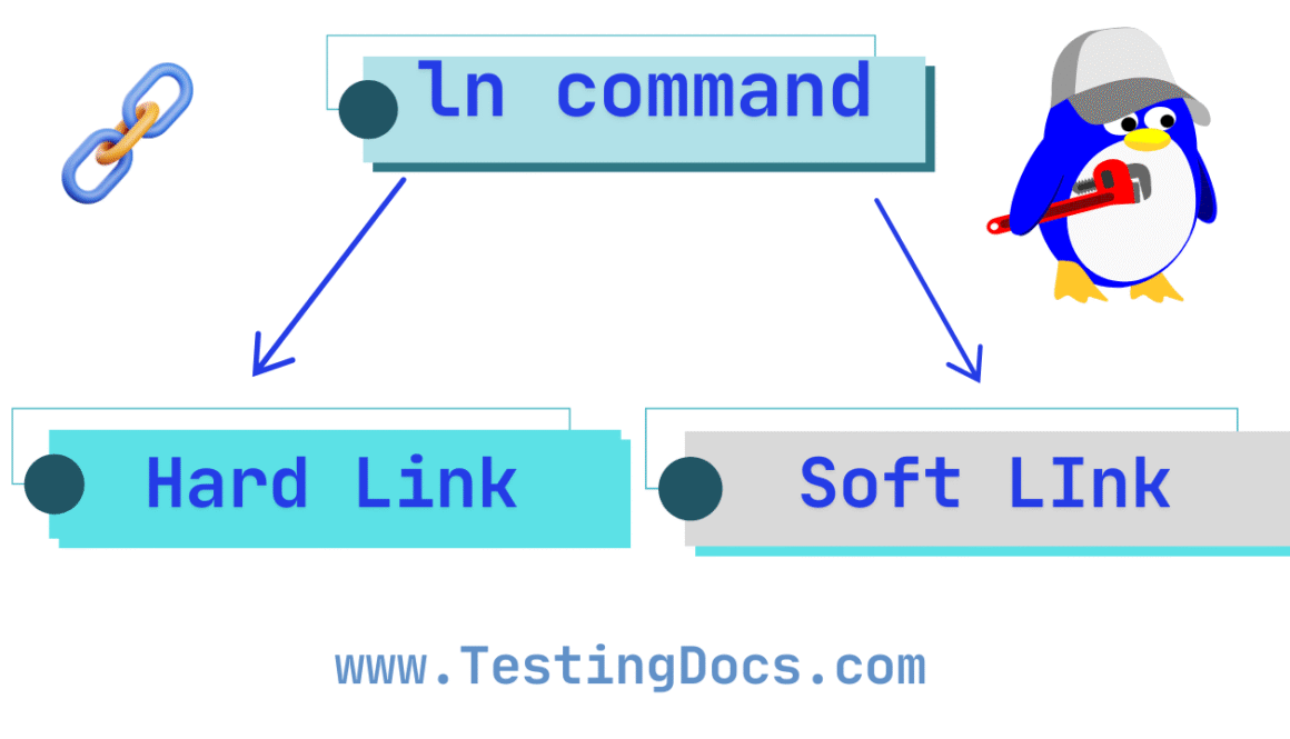 ln command