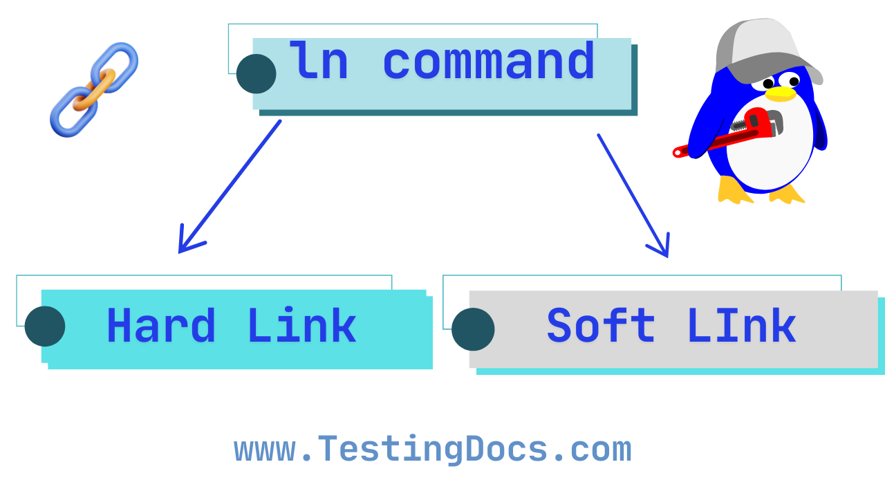 ln command