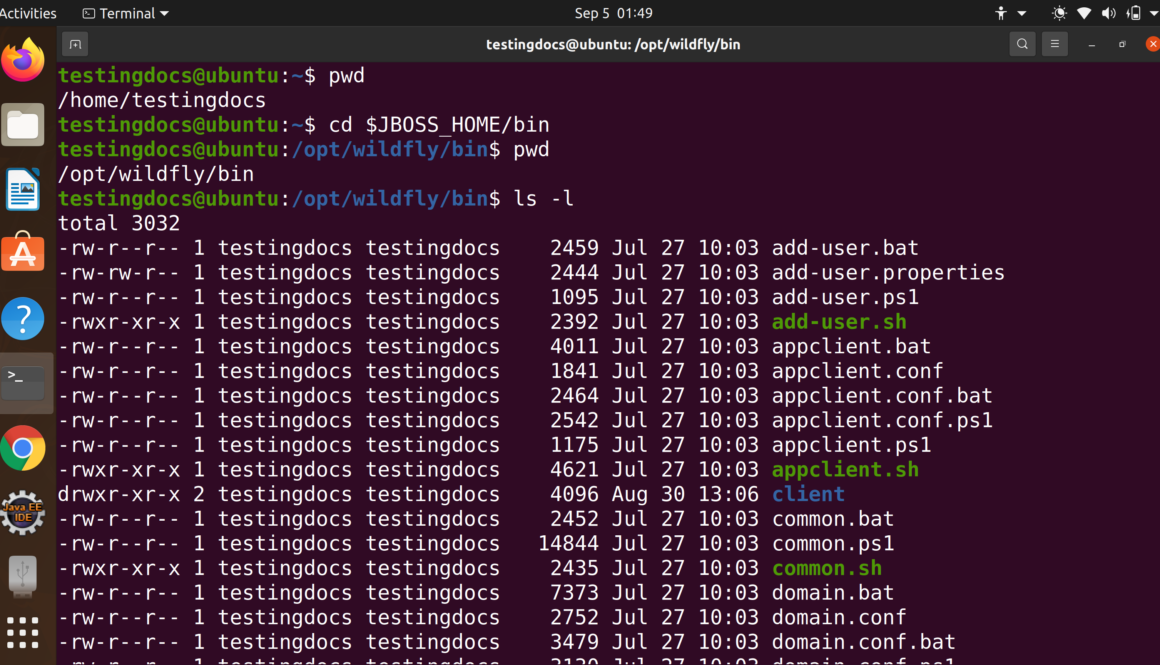 ls linux command