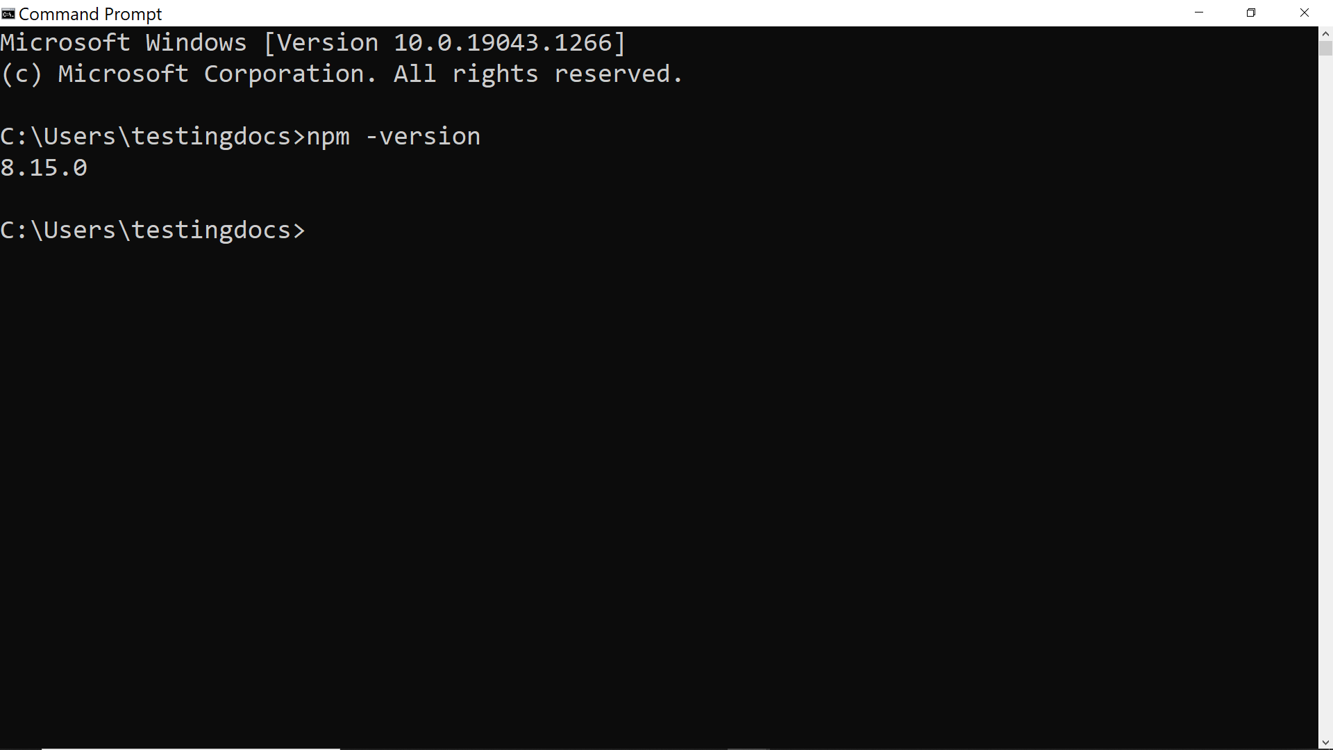 npm version command